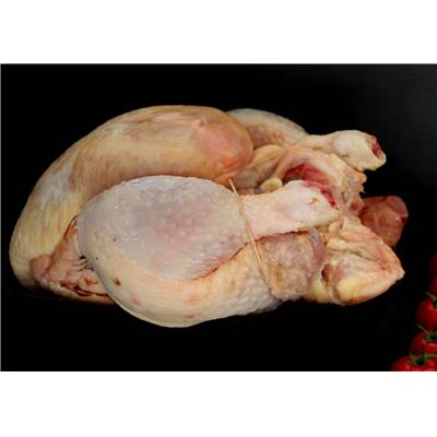 Poule élévée au sol
