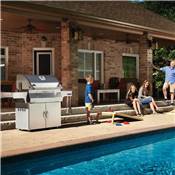 Barbecue Charbon de Bois Napoléon PRO 605 Inox