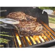 Barbecue à gaz Weber SPIRIT EP-335