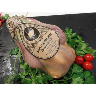 Pintade Fermière